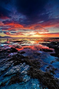 比拉诺瓦决胜时刻绝杀，赢得好评