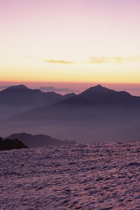 瓦伦西亚主场负于对手，战绩不容乐观：从赛场解读球队未来